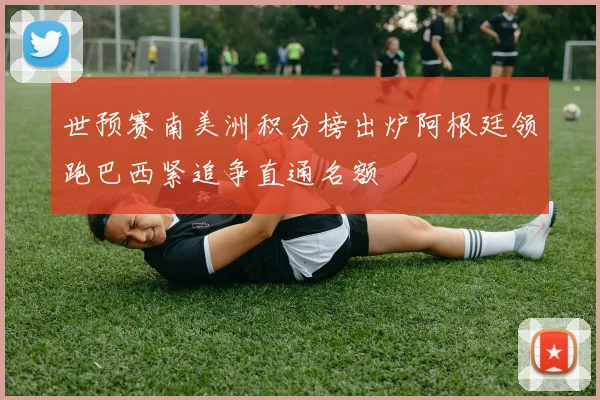 世预赛南美洲积分榜出炉阿根廷领跑巴西紧追争直通名额