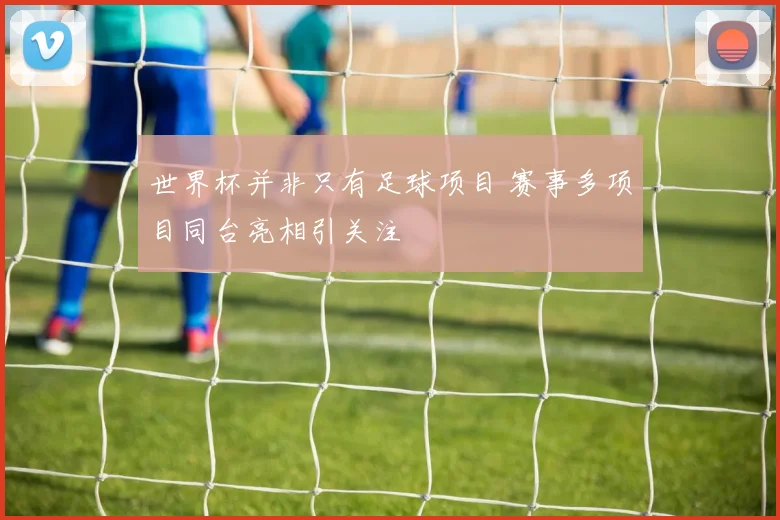 世界杯并非只有足球项目 赛事多项目同台亮相引关注