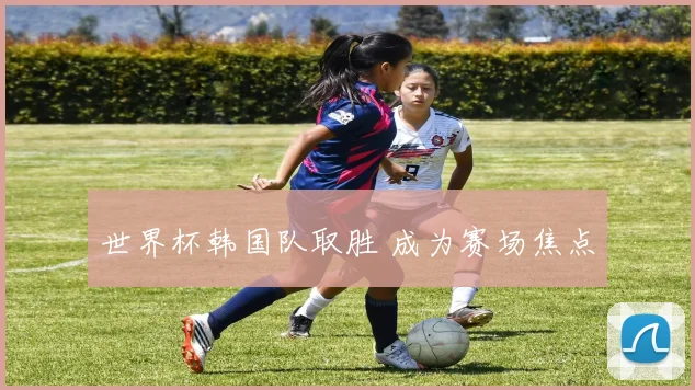 世界杯韩国队取胜 成为赛场焦点