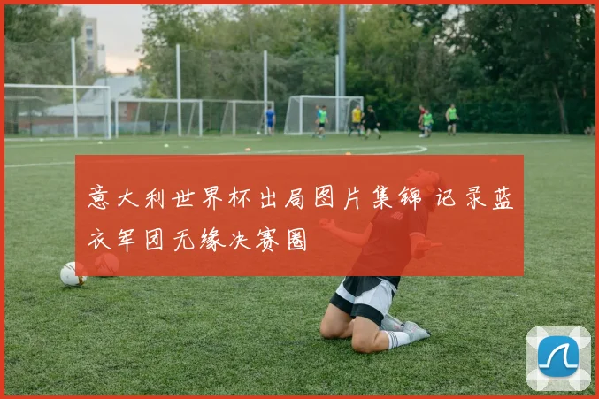 意大利世界杯出局图片集锦 记录蓝衣军团无缘决赛圈