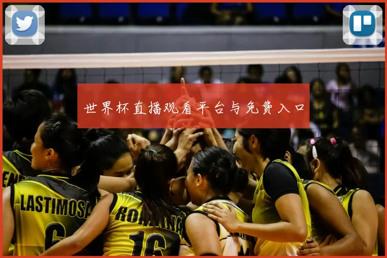 世界杯直播观看平台与免费入口