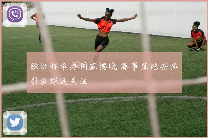 欧洲杯举办国家揭晓 赛事落地安排引发球迷关注