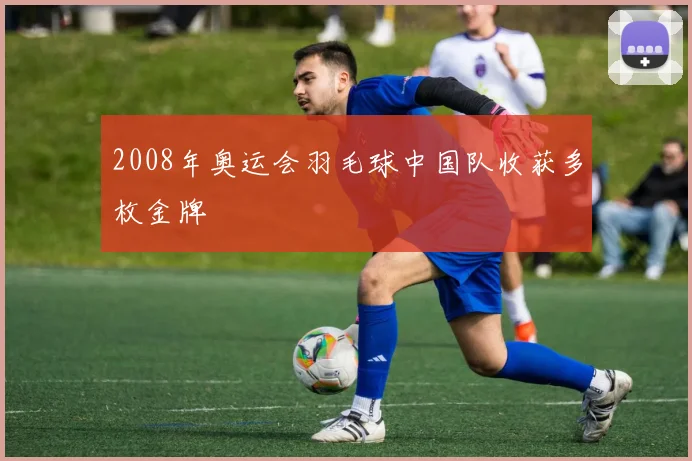 2008年奥运会羽毛球中国队收获多枚金牌