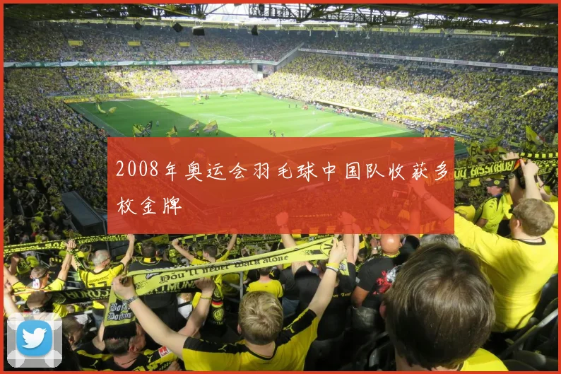 2008年奥运会羽毛球中国队收获多枚金牌